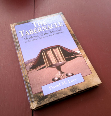 The Tabernacle : Shadows of the Messiah Paperback David M. Levy