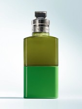 Crazy Basil Dries Van Noten perfume - a new fragrance for women