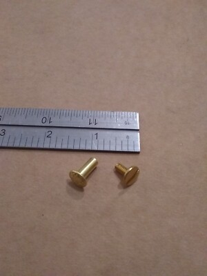 1/2''  Solid Brass Floral Head Chicago Screws (100 pack)