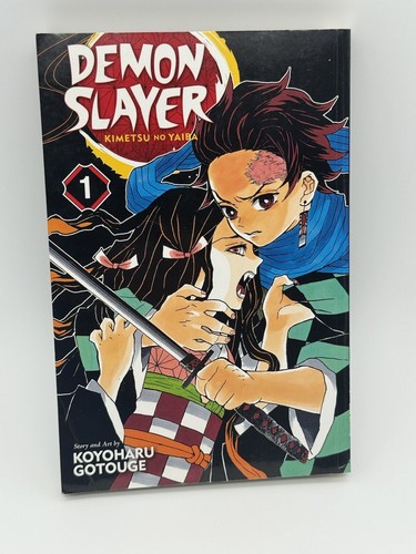 Demon Slayer Kimetsu no Yaiba Vol. 1 englischer Manga von Koyoharu Gotouge