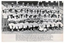1949 BROOKLYN DODGERS BASEBALL TEAM 8 x12 PHOTO JACKIE ROBINSON-SNIDER-REESE-COX