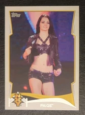 2014 Topps WWE Paige NXT Prospects #14