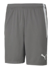 Puma Youth Team Liga 25 Soccer Shorts