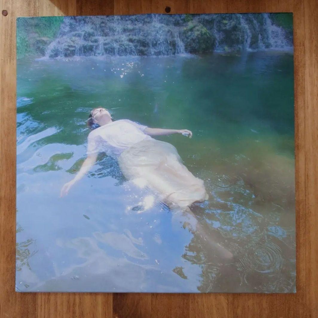 she’s green - Wisteria EP Vinyl Wisteria | she's green