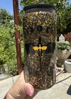Picture 1 of 5