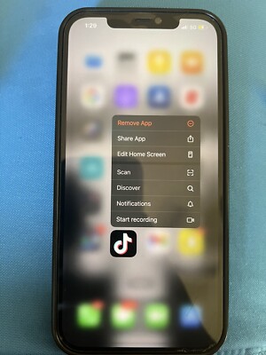 iPhone 12 Pro Max With TikTok 