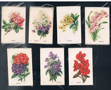 IMPERIAL TOBACCO CANADA SILKS GARDEN FLOWERS OF THE WORLD BROWN NUMBER - CHOOSE