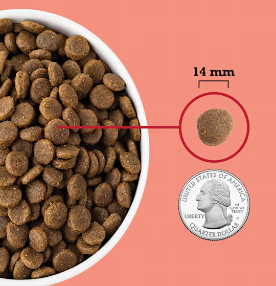 ACANA Grain-Free Red Meat Ranch-Raised Beef Yorkshire Pork Dry Dog Food, 25 lb