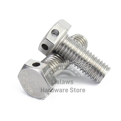 M6 M8 M10 M12 M16 Hexagon Bolts With Wire Holes on Head A2 Stainless Steel