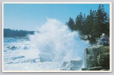 Thunder Hole Acadia National Park Maine Hurricane Gloria Surf Postcard