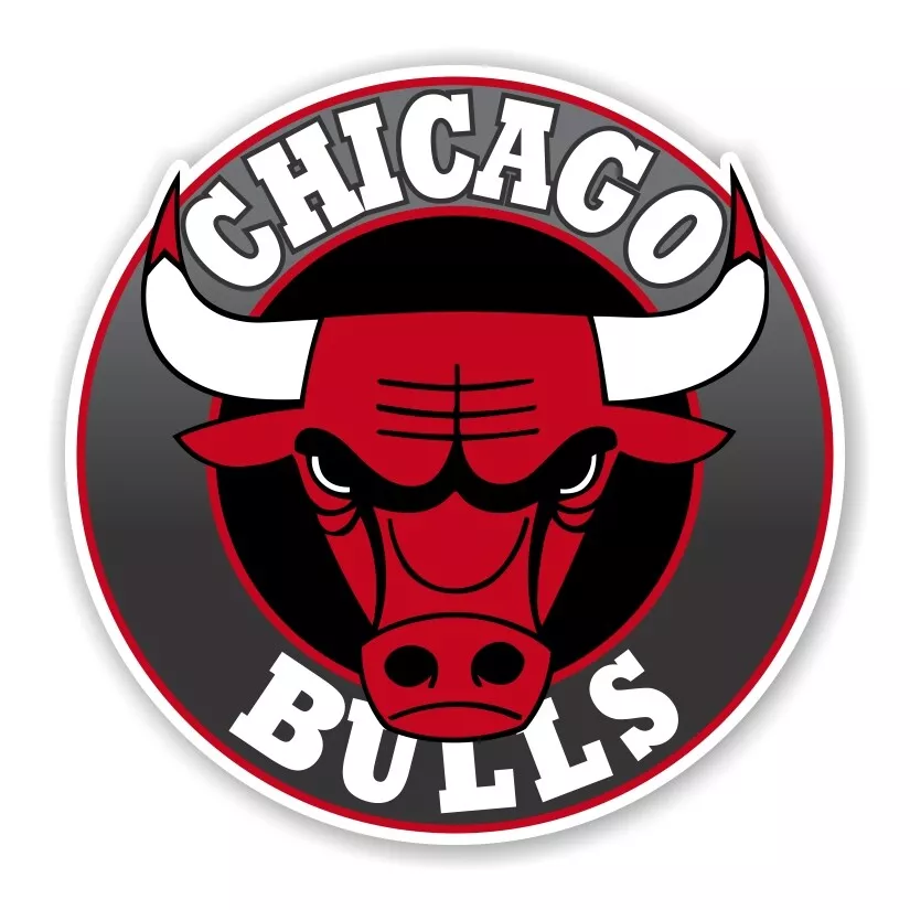 Chicago Bulls Round Decal / Sticker Die cut