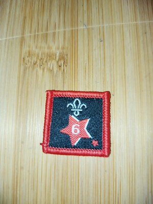 UK Scouting Current Joining In Badge Year 6 NEW LOGO