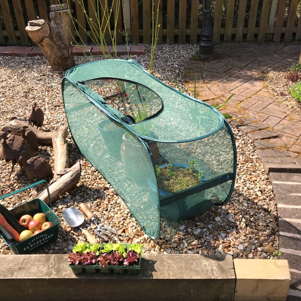 Allotment Plant Protector Garden Grow Bag Net Tunnel Cloche 1.1m x 0.45m x 0.55m