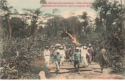 Ivory Coast - Ebobo Plantations on Abi Lagoon