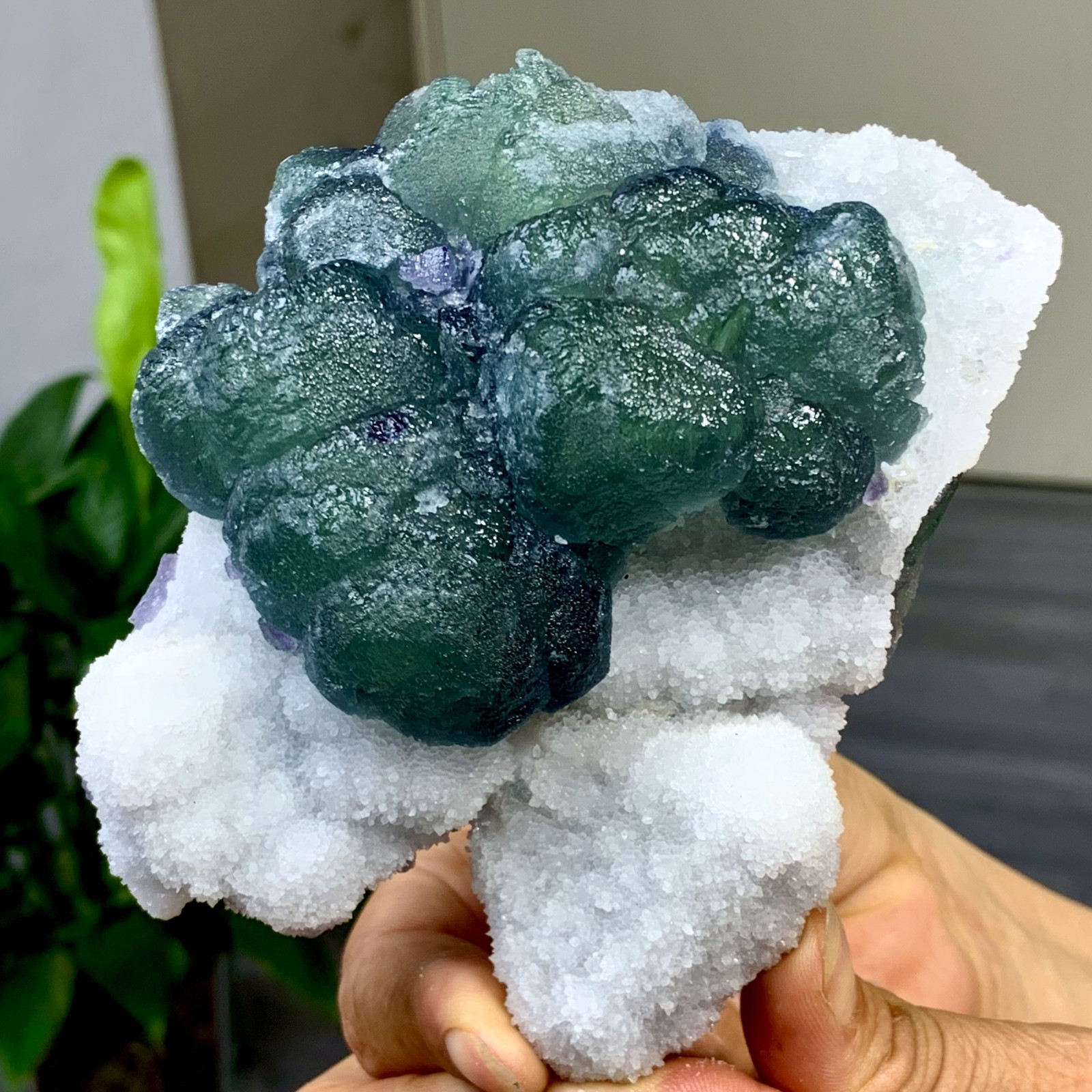 1.41LB Natural Green Cubic Fluorite Crystal Specimen from China