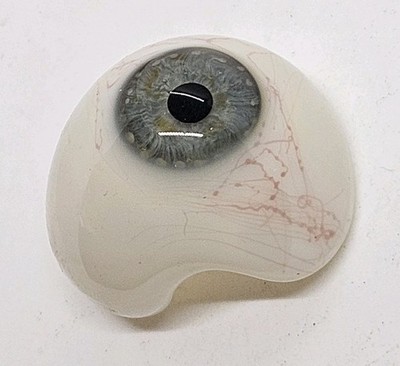 Antique Victorian German Human Prosthetic Glass Eye Oddity Oddities