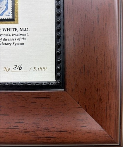 Rockwell "Honoring the American Doctor" Stamp Limitd Edition Framed Art Medicine - Picture 3 of 7