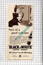 Black and White Scotch Whisky  Dogs Advert - 1953 Cutting