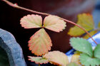 Bild 16 von 20