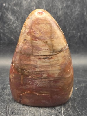 Petrified wood free form! 14.5 ounces, 3.9 inches tall, 2.7'' wide