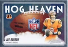 2025 Panini Absolute Countdown Calendar Joe Burrow Base (RAW)