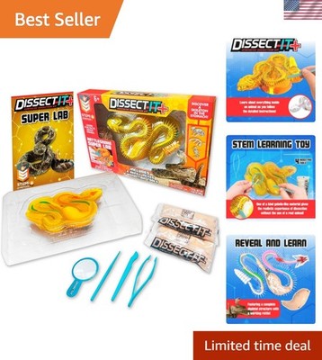 Rattlesnake Super Lab Kit for Kids, Synthetic Dissection Kids Science Kit to ...