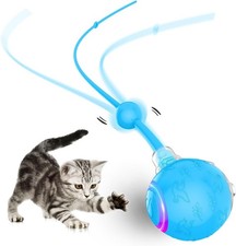 Interactive Cat Toys Ball for Indoor Cats Fast Rolling on Carpet, Blue