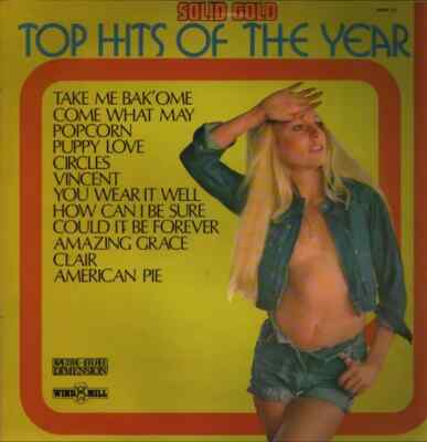 Unknown Artist Top Hits Of The Year Windmill Vinyl LP