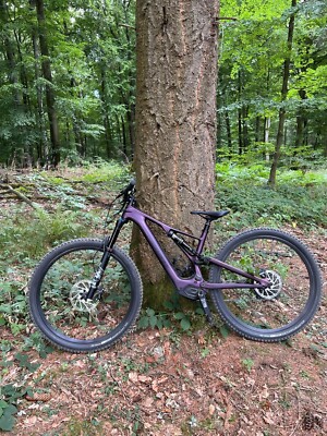 Specialized Turbo Levo SL comp carbon Castberry 
