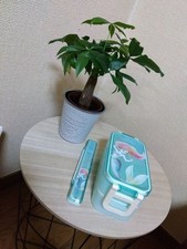 Little Mermaid Ariel Bento Box Chopsticks Set