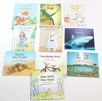 Lot of 10 Fountas & Pinnell LI Blue System Level F Leveled Readers Grade 2