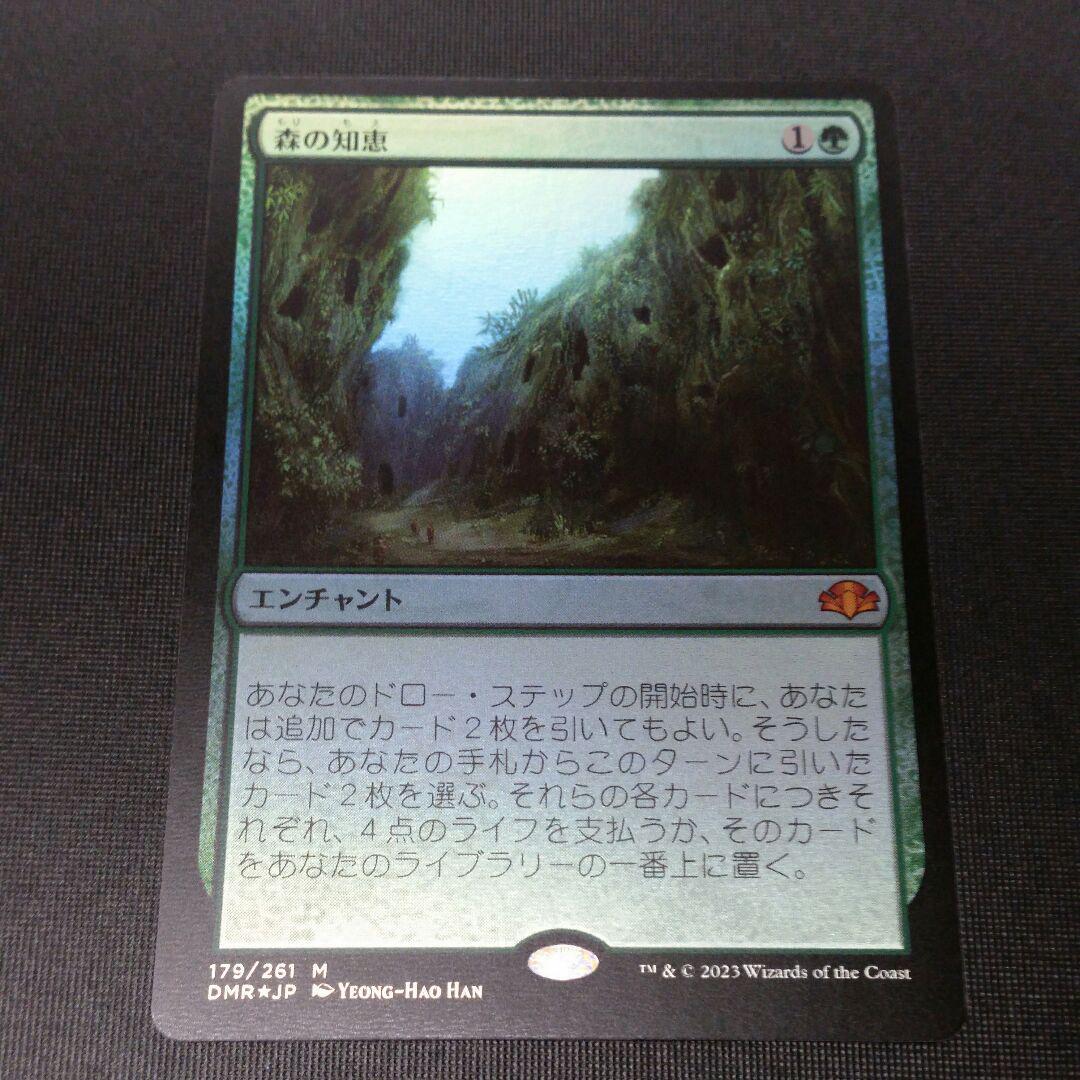 MTG CC1版 foil「森の知恵」