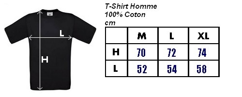 T-Shirt KEMPER QUIMPER BREIZH Bretagne Breton - Trikot - Bild 2 von 2
