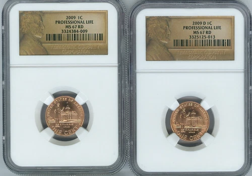 2009 P&D Lincoln Cent Professional Life NGC MS67 Business Strike (2 Coins)  *BF
