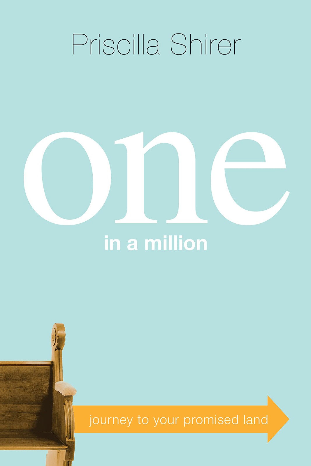 One in a Million: Journey to Your Promised Land by Shirer