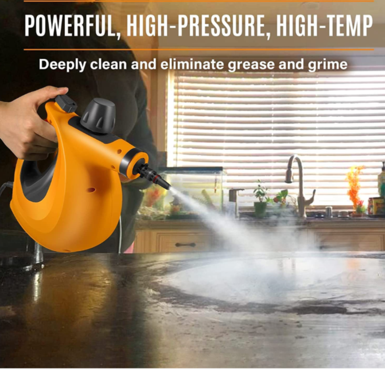 Bed Bug Steamer Kills Bed Bugs & Eggs ! Fast Effective Safe Non Toxic