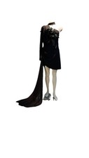 Fashion Nova Elegant Black Long Sleeve Dress with Feather Detail