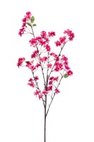 Artplants Dekozweig Zierpfirsich Santana Mit BlüTen, Pink, 100Cm