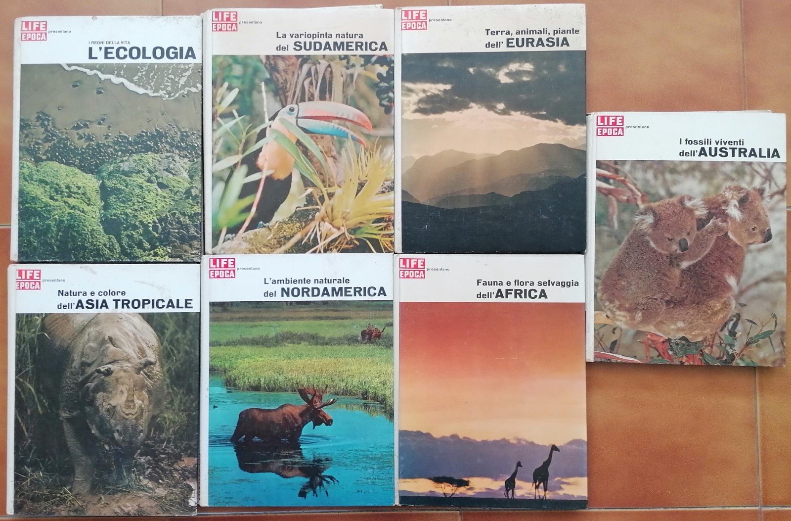 Lotto 7 libri Life Epoca. Voluminosi. Illustrati a colori. 1966. Rari. Mondadori