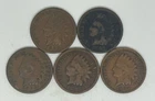 1889 1890 1893 1895 1907 Indian Head Cent Lot of 5