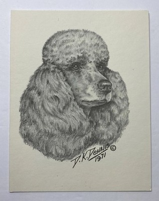 Vintage Poodle Blank Card With Envelopes D.K. Dennis 1971 - Unused