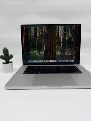 Apple MacBook Pro | 16 Zoll | M1 Max | 32GB | 1TB | Silver | QWERTZ #M23