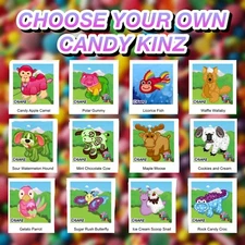 Webkinz Classic CHOOSE YOUR OWN CANDY KINZ Virtual Adoption Code Only