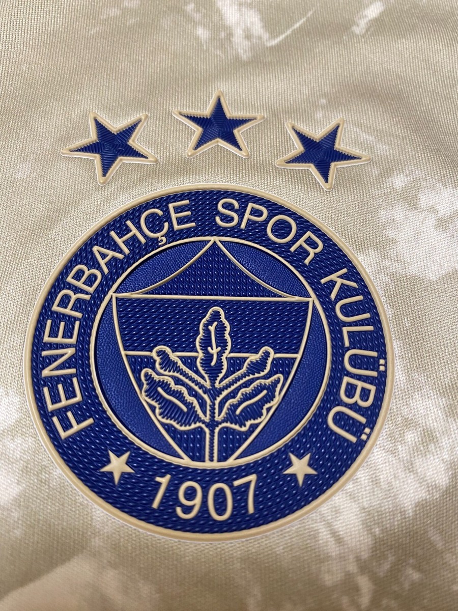 Fenerbahce turkish football hi-res stock photography and images