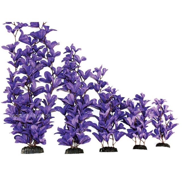 Purple Bleheri Silk 13cm Fish Tank Aquarium Plant Decoration for sale online eBay