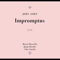 John Zorn - Impromptus - Cd - G1398Z