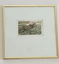 1980 Hand Colored Ltd Ed Artist Proof Etching Jan Hunt Framed Rabbit Bunny “Nap”