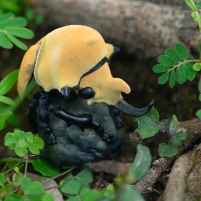 Animal Heavenly Body Elephant Beetle Megasoma elephas Insect Statue
