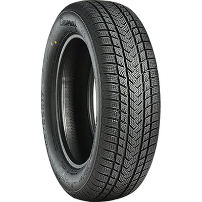 GRIPMAX Winterreifen 205/45 R17 TL 88V SUREGRIP PRO WINTER XL BSW M+S 3PMSF