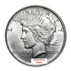 Silver Peace Dollar *Random Date* - BU